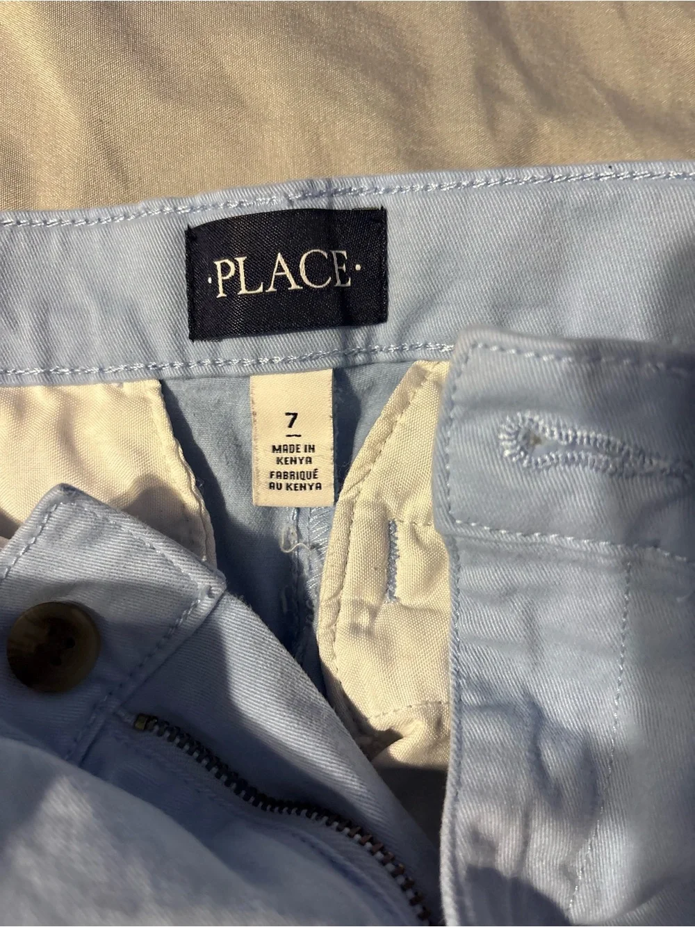 The Children's Place Light Blue Casual Kids Pants